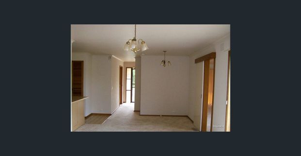 Brand new painting, carpet and floorboards - Photo 1