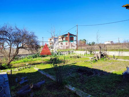 Μονοκατοικία, προς ενοικίαση Κ. Σκάλας Ωρωπού Κωδικός 2172182 - Photo 4