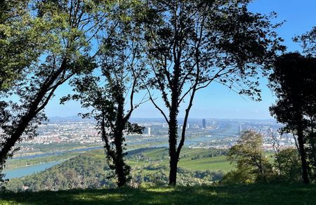 Liebe zur Nostalgie: Historische Villa am Kahlenberg mit Blick über Wien - Photo 3