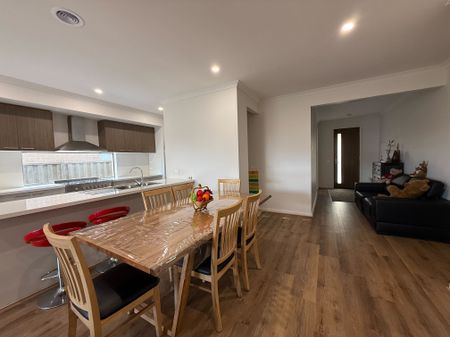 Modern Comforts, Solar & Low-Maintenance Yard - Photo 4