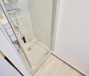 OUDINOT P Roommate 3 Bedrooms at Nancy - Photo 5