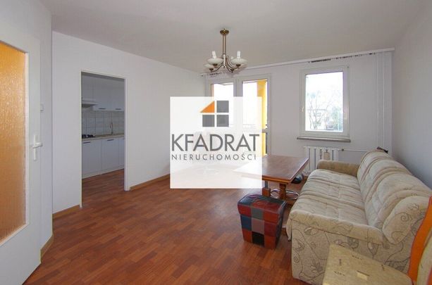 Wynajem, Gumieńce kawalerka z balkonem - Zdjęcie 1