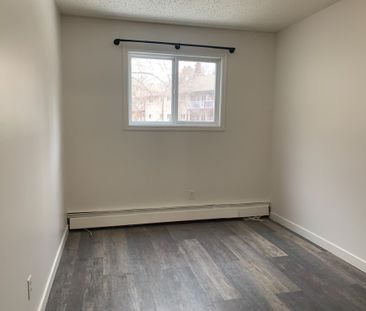 203 5812 61 Street - Photo 6