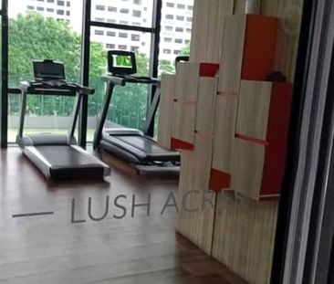 Lush Acres (D28), Condominium - For Rent - Photo 6