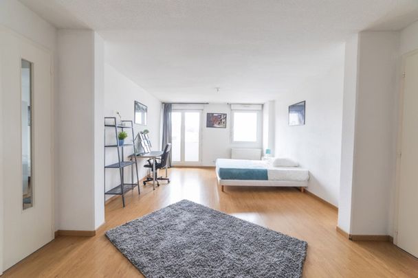 Strasbourg - Colmar - Chambre 1 - Photo 1