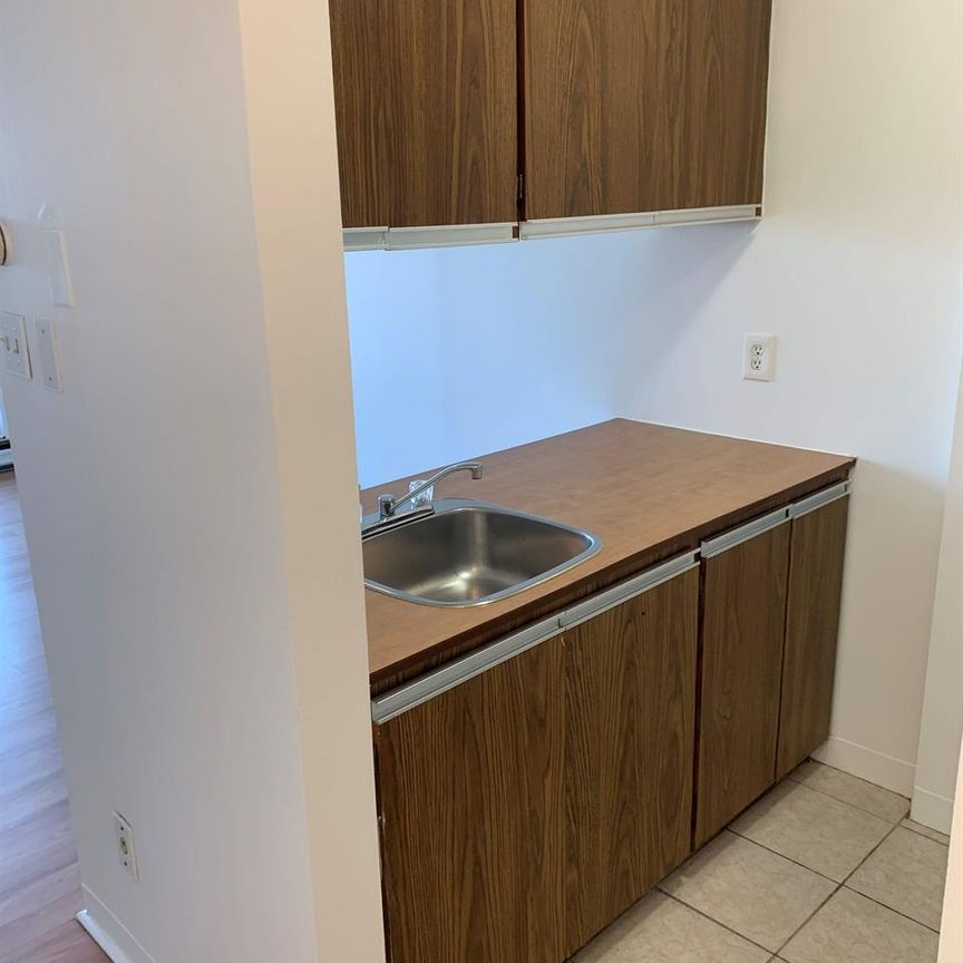 1 CH - 1 SDB - Montréal - $1,245 /mo - Photo 1