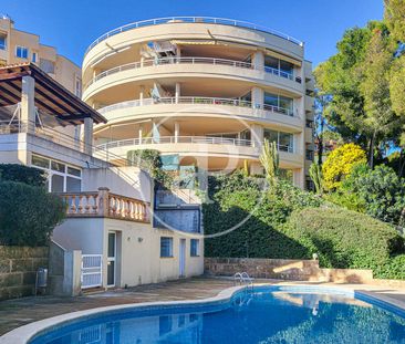 Apartment for Rent in Portals Nous - Photo 4