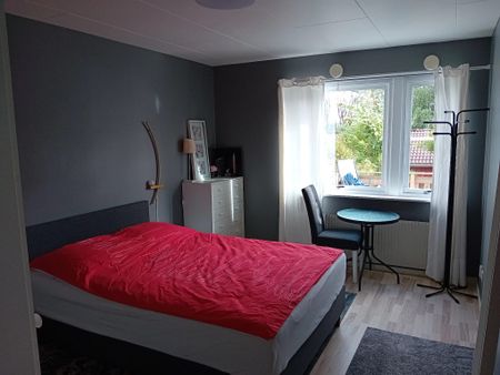 Rappedalsvägen, Angered - Photo 2