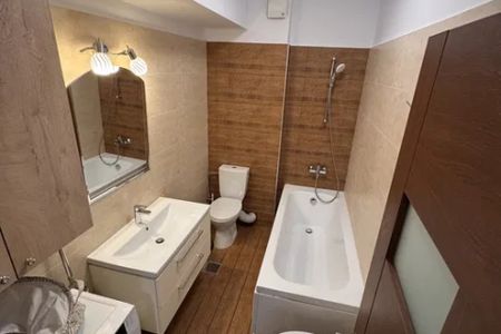 Apartament de inchiriat o camera Valea Lupului - Fotografie 5