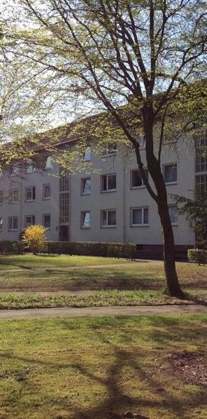 Vogelnest in schöner Lage: interessante 3-Zi.-Wohnung mit Ausblick - Foto 1