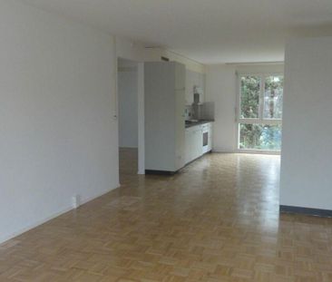 3.5 Zimmer Wohnung - Photo 3