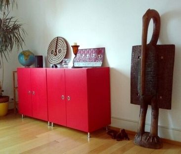 APPARTEMENT 2 PIÈCES À BÂLE - ALTSTADT/KLEINBASEL, MEUBLÉ, TEMPORAIRE - Foto 3