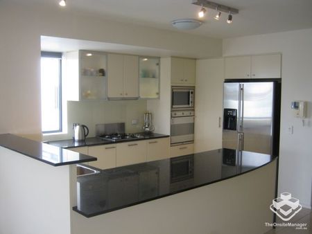 Riverfront Magnificent Spacious Unfurnished 3 BR + Apartment - Photo 4