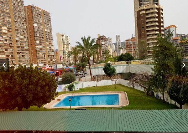 Se alquila para todo el año apartamento en Benidorm