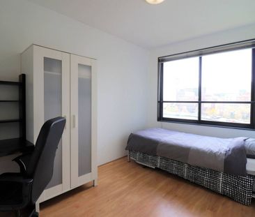 Coolhaven - Photo 5
