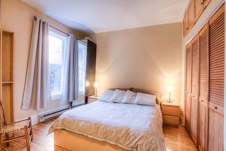 Appartement à louer à Montréal (Le Plateau-Mont-Royal) - Photo 4