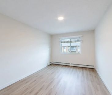 1 Bedroom - Photo 6