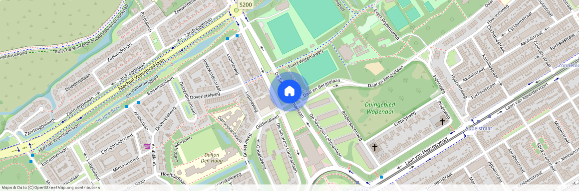 Bohemen en Meer en Bos, 2566 AT, De Savornin Lohmanlaan, Den Haag