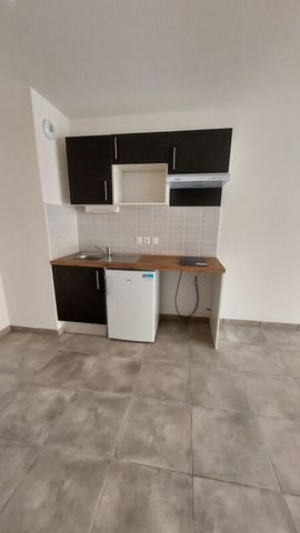 Location Appartement 2 pièces 41m² FONSORBES 31470 - Photo 3