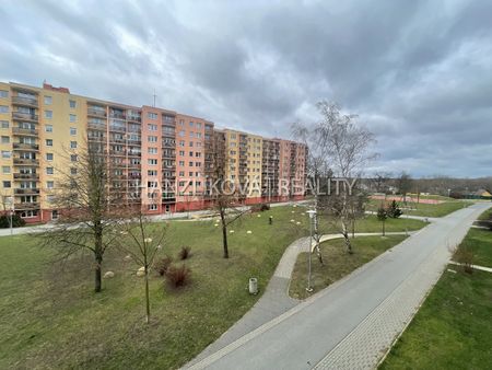 Pronájem bytu 3+1 70 m² - Fotografie 4