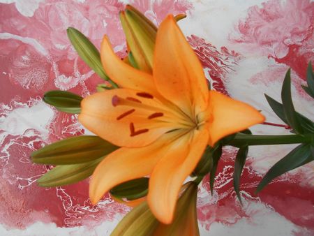 Gemütliches Wohnung mit Balkon zu sofort zu vermieten an EP - Photo 4