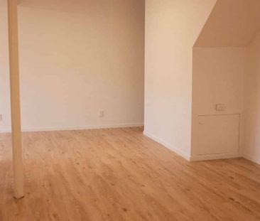 Lovely Saint Heliers Studio - Photo 4