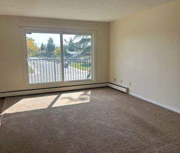 Capital Court - 11510 40 Avenue Northwest — 1 Bedroom - Photo 1