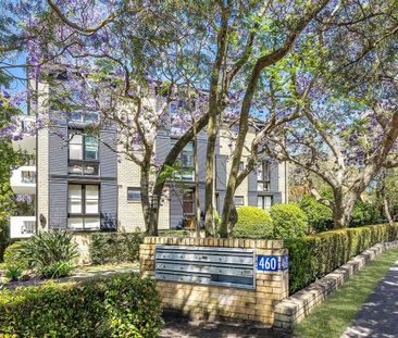6/460 Pacific Highway, Lindfield NSW 2070 - Apartment For Rent | Do... - Photo 1