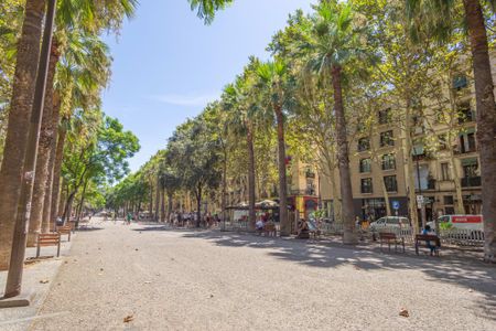 Rambla del Raval, Barcelona, Catalonia 8001 - Photo 5