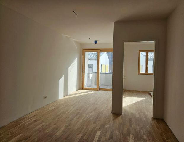 Erstbezug: hochwertige 2-Zimmer-Single-Wohnung *barrierefrei *Tiefgarage *Aufzug - Photo 1