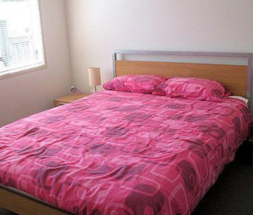 PURIRI PLACE - SUNNY AND SPACIOUS - Photo 3