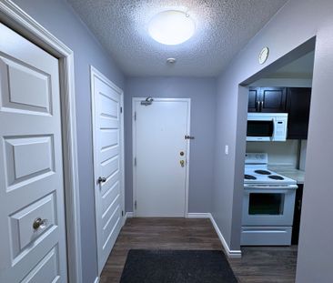 For Lease - 739 Deveron Crescent Unit# 207, London South, Ontario - Photo 6