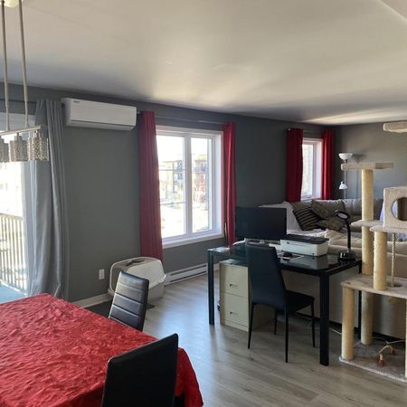 Très grand 4 1/2 récent à louer dans un secteur tranquille dans les Laurentides (Saint-Jérôme) - Photo 3