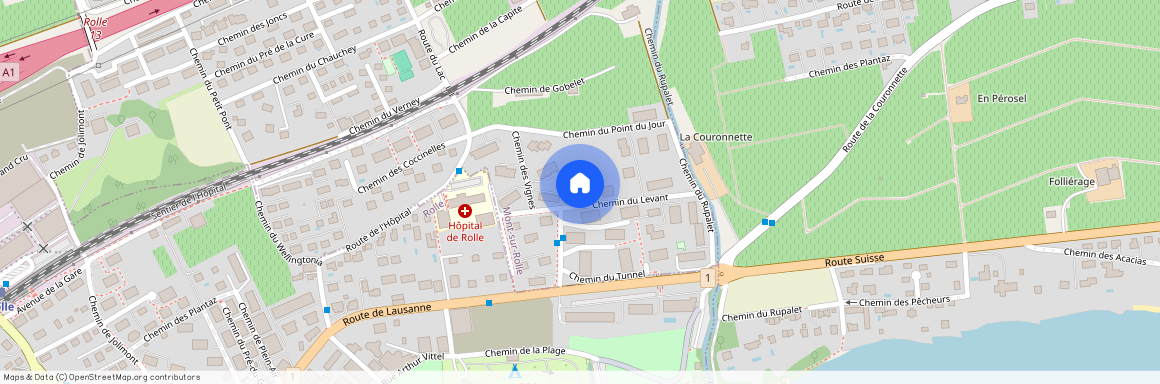 1185, Mont-sur-Rolle, Chemin Du Levant, 1