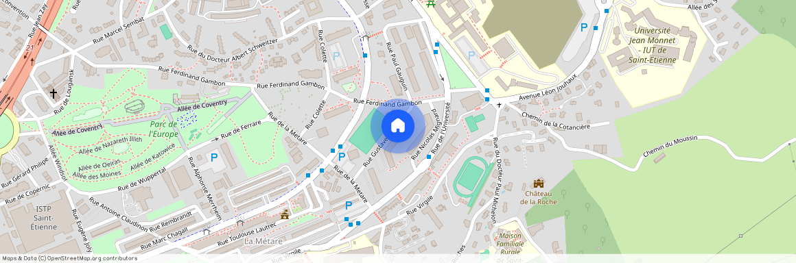 9 RUE GUSTAVE COURBET, 42100, St Etienne