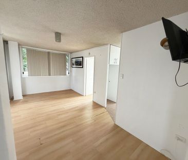 1 Bedroom Partly Furnished Ground Floor Unit - Photo 1
