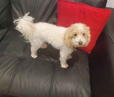 Aubin Grove - Photo 1