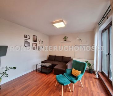 Wrocław, Stare Miasto - Zdjęcie 2