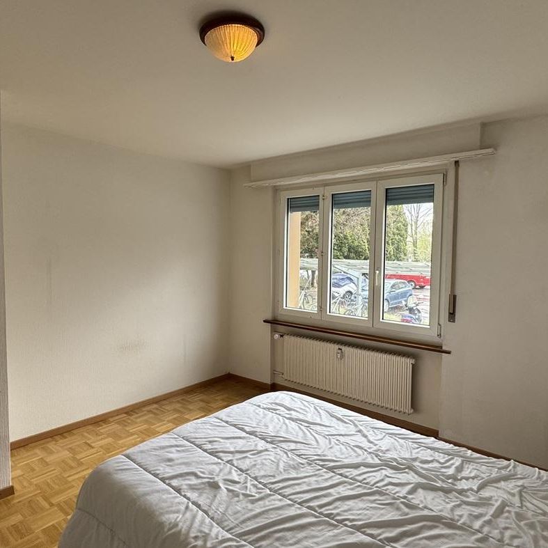 Charmant appartement de 3 pièces au rez de chaussée à Fribourg - Photo 1