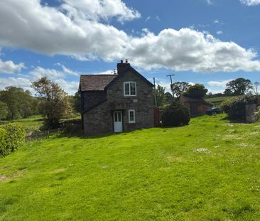 12 Rorrington - Photo 6