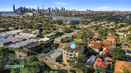 11/465 Balmain Road, Lilyfield NSW 2040 - Apartment For Rent | Domain - Photo 2