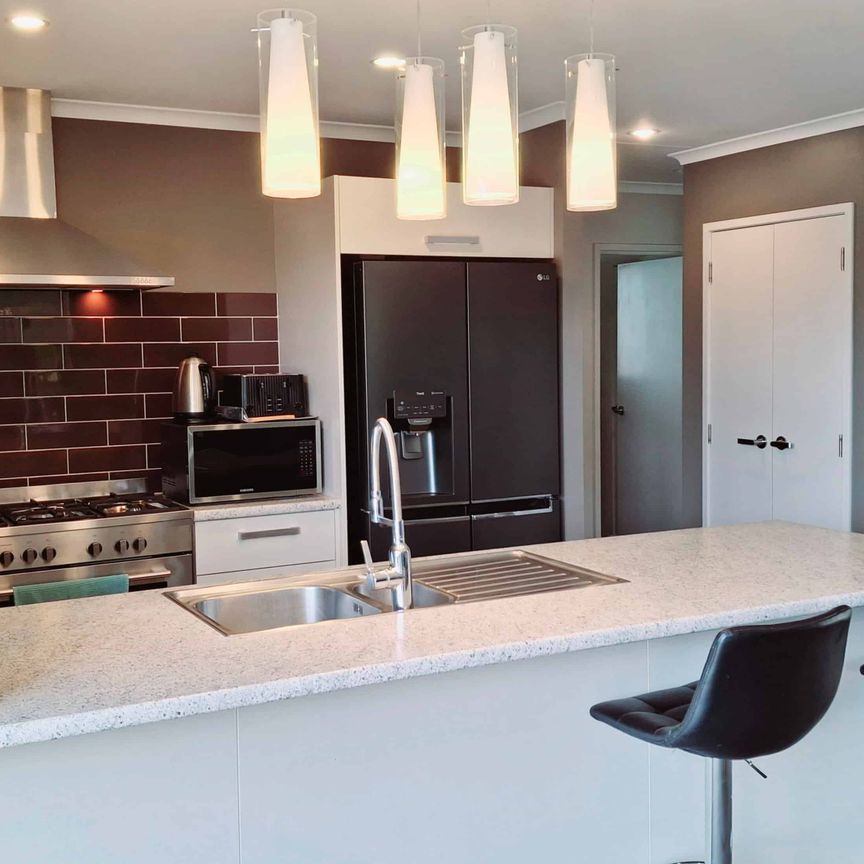 Single Level Sensation - Gulf Harbour - Photo 1