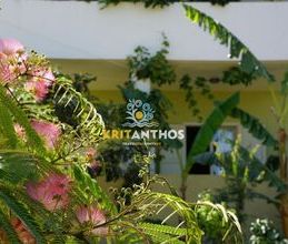 Μονοκατοικία για ενοικίαση - Νικηφόρος Φωκάς, - Φωτογραφία 3