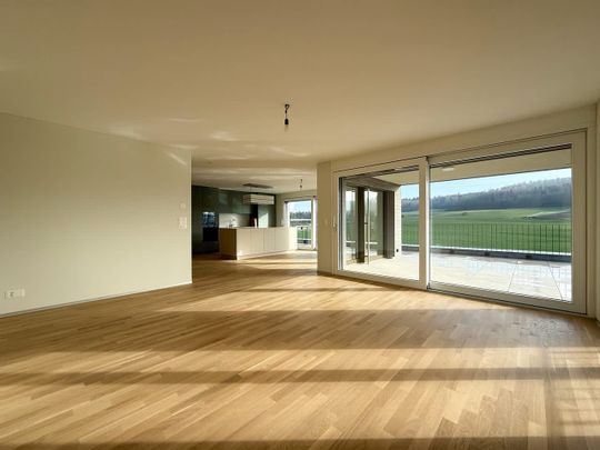 4.5 Zimmer, 127 m² - Photo 1