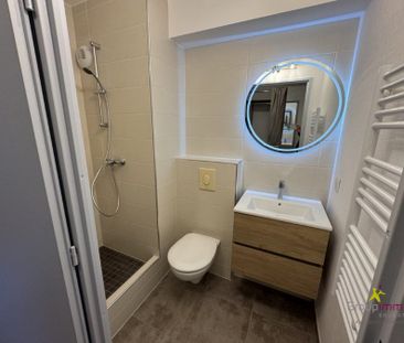 Appartement 1 pièce à Illkirch-Graffenstaden - Photo 3