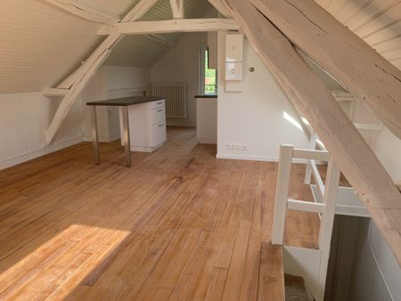 Location Appartement 1 pièce 22m² SENS 89100 - Photo 3