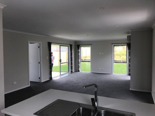 Perfectly positioned in North Hamilton at the newly developed subdivision in Flagstaff. - Photo 1