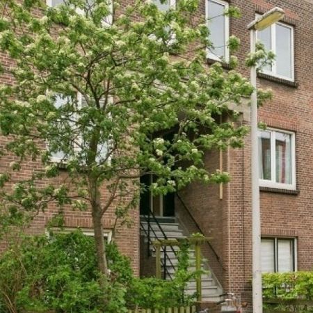 Anjelierstraat 0ong, 2565 Den Haag, Nederland - Foto 3