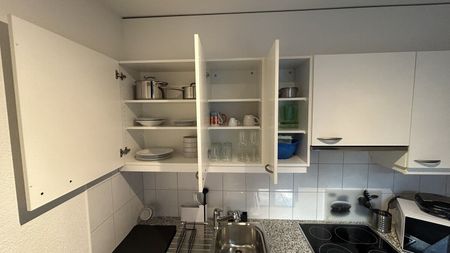 Appartement meublé moderne de 3,5 pièces à Zürich Altstetten (près de Zürich-Binz) - Foto 3