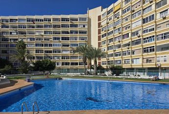 San Bartolomé de Tirajana, Canary Islands 35100